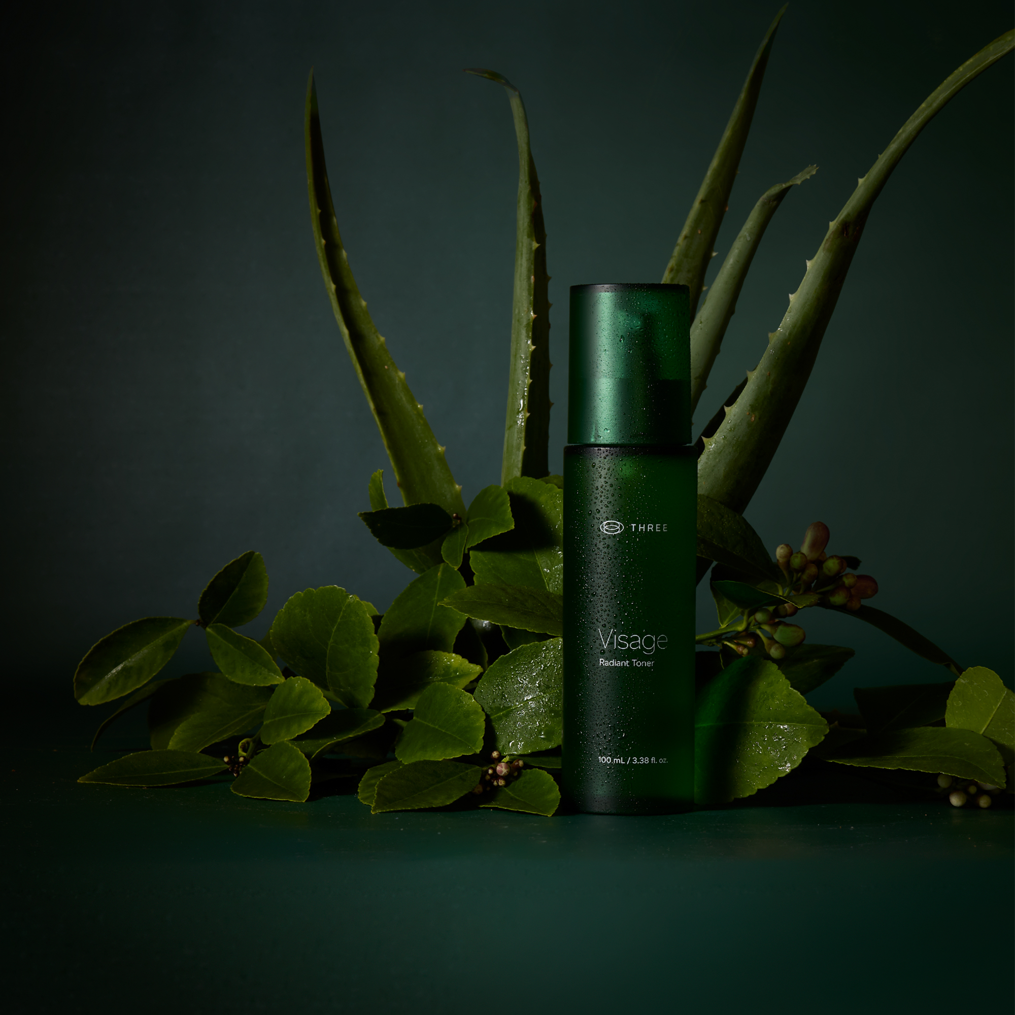 Product Detail Page - The Visage Collection - III International