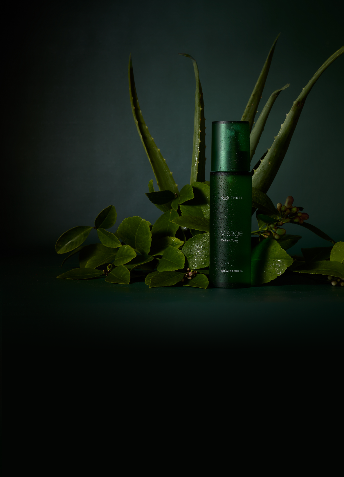 Product Detail Page - The Visage Collection - III International