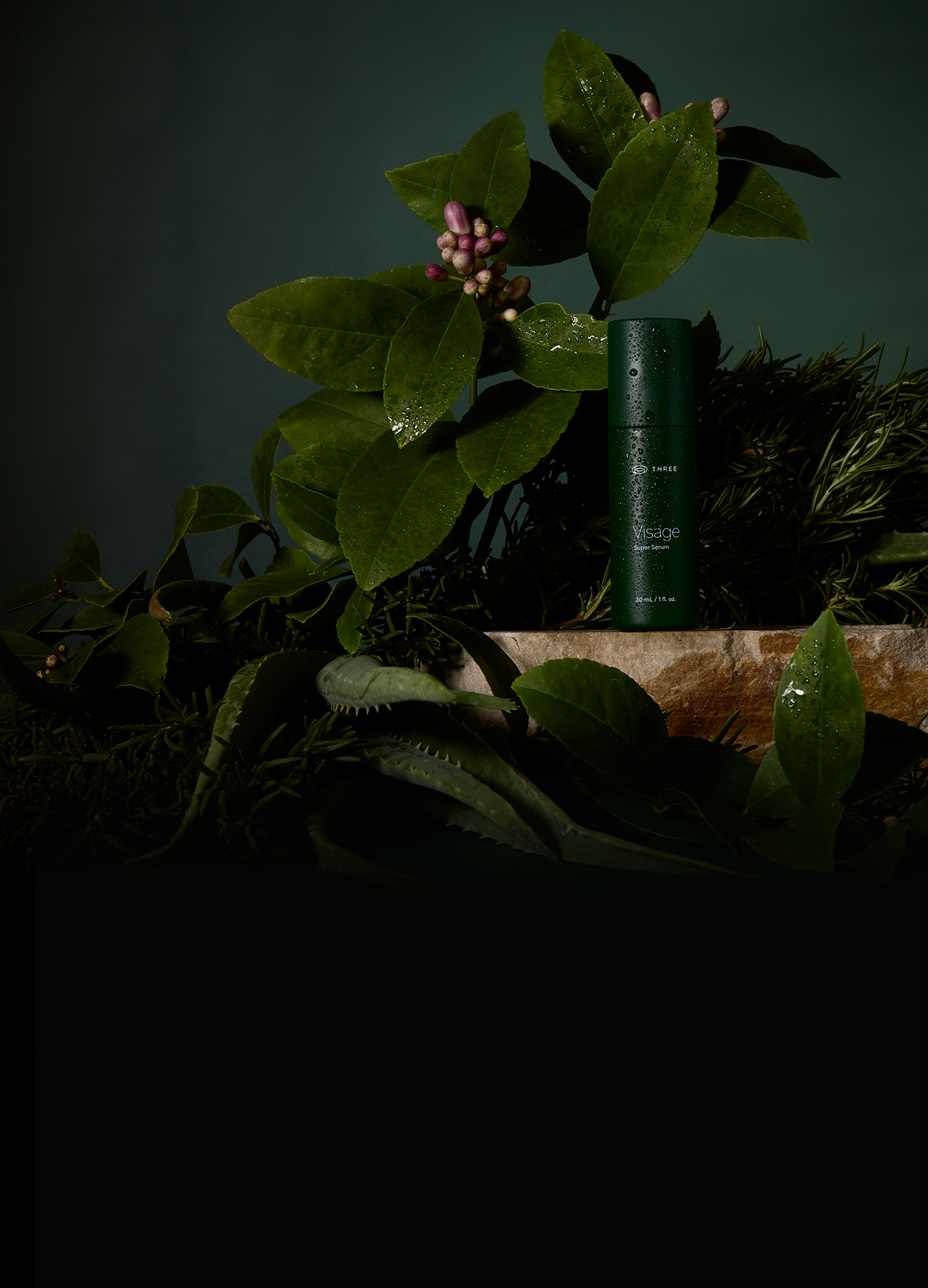 Product Detail Page - The Visage Collection - III International